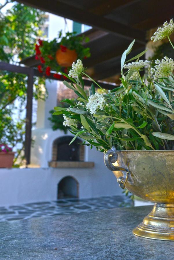 Vila Ktima Dimitrios Naxos City Exteriér fotografie