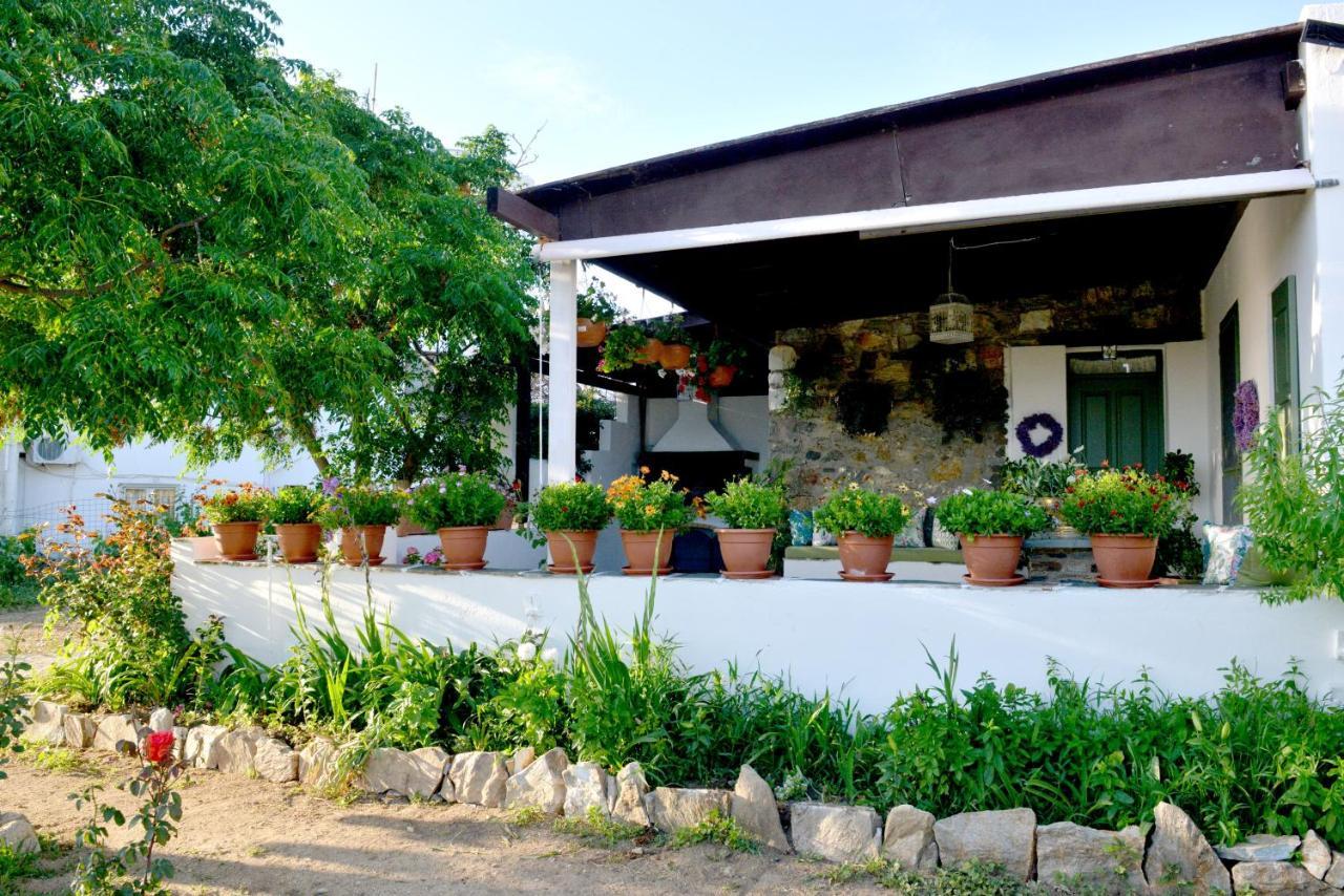 Vila Ktima Dimitrios Naxos City Exteriér fotografie