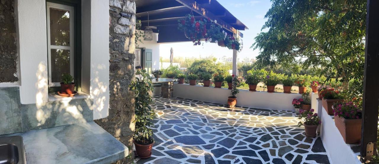 Vila Ktima Dimitrios Naxos City Exteriér fotografie