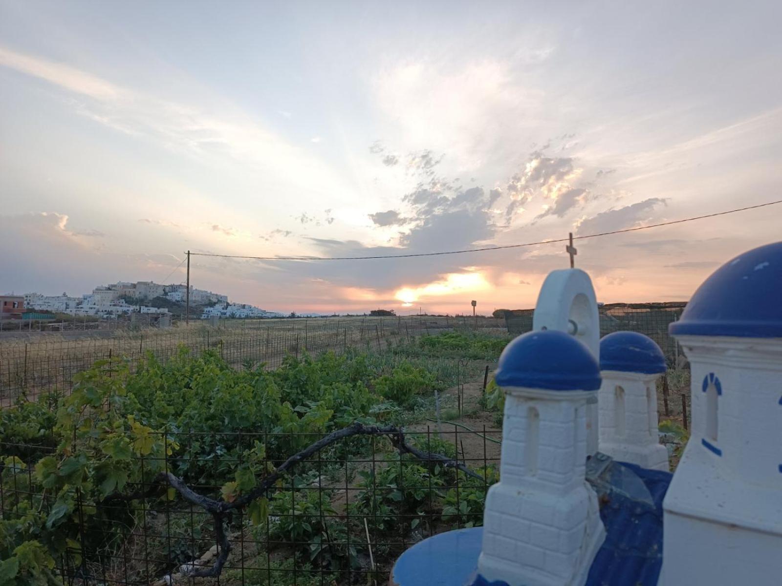Vila Ktima Dimitrios Naxos City Exteriér fotografie